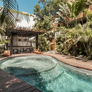 https://monet-free-beach-pass-bikes-private-pool-24hrs-security.tulum-hotels.net